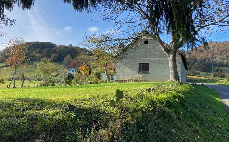 Belle Maison Souletine à la Lisière du village avec Vue Dégagé des Montagnes